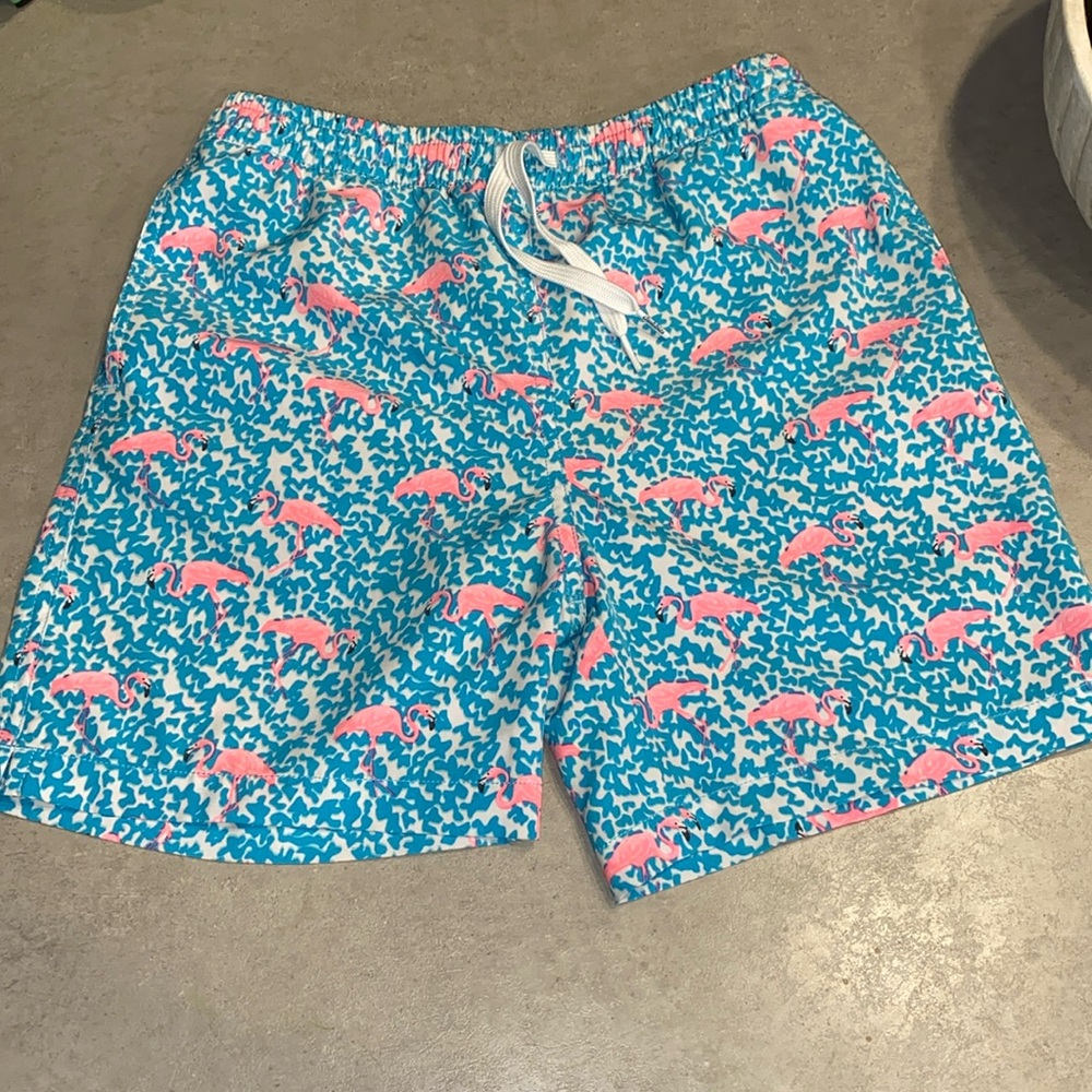 Chubbies Boys Classic Swim Trunk | Youth M (10/12) 🦩
